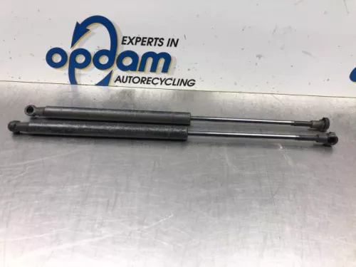 Set Gasdempers Achterklep-8046853