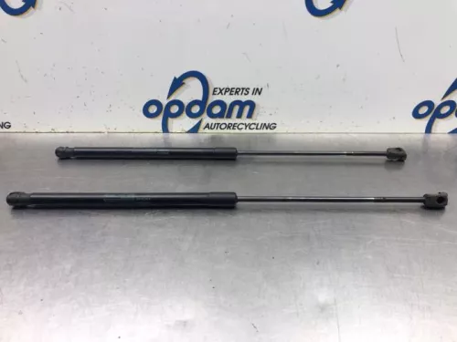 Set Gasdempers Achterklep-8080654
