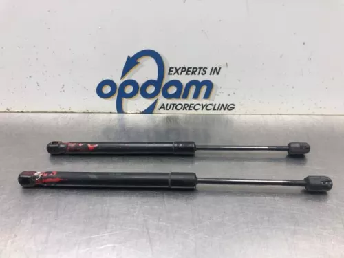 Set Gasdempers Achterklep-8120733