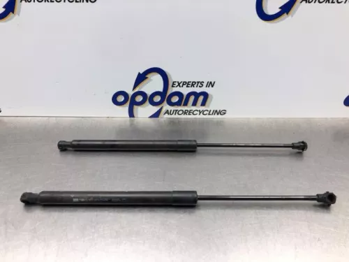 Set Gasdempers Achterklep-8154465