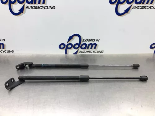 Set Gasdempers Achterklep-8250591