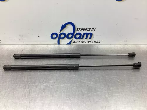 Set Gasdempers Achterklep-7866021