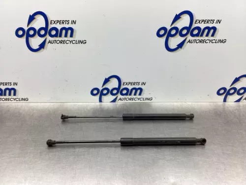 Set Gasdempers Achterklep-7975208