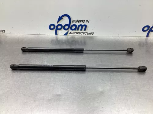 Set Gasdempers Achterklep-7989722