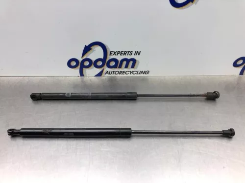 Set Gasdempers Achterklep-8266510