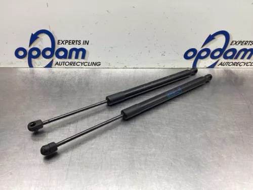 Set Gasdempers Achterklep-8091756