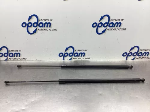 Set Gasdempers Achterklep-8094053