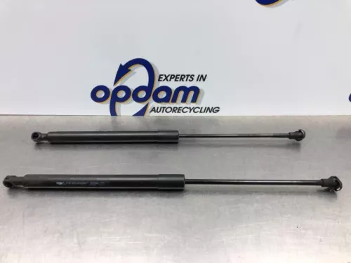 Set Gasdempers Achterklep-8078381