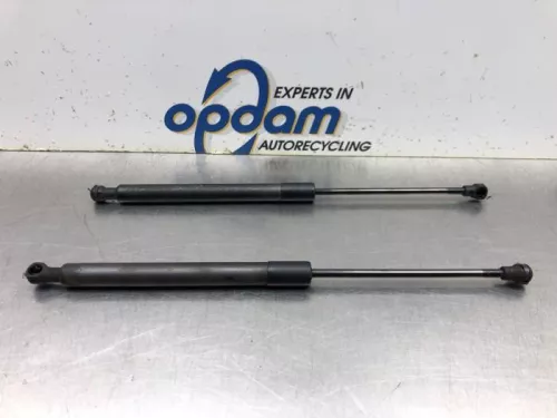 Set Gasdempers Achterklep-7981474