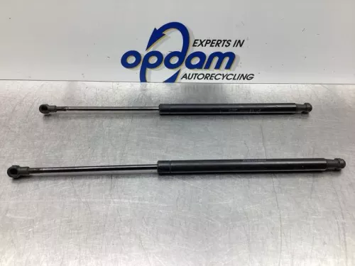 Set Gasdempers Achterklep-7441545
