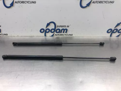 Set Gasdempers Achterklep-8146780