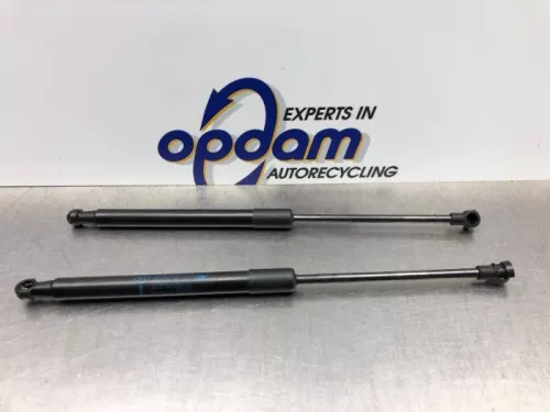 Set Gasdempers Achterklep-8178911