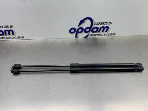 Set Gasdempers Achterklep-8204388