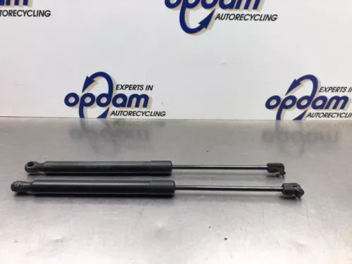 Set Gasdempers Achterklep-8254697