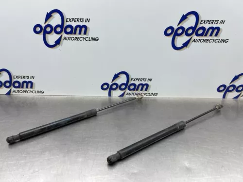 Set Gasdempers Achterklep-8178762