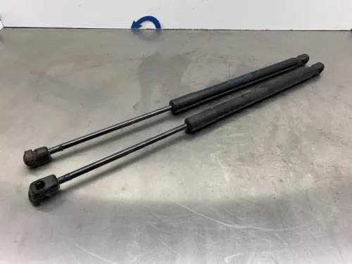 Set Gasdempers Achterklep-8226985