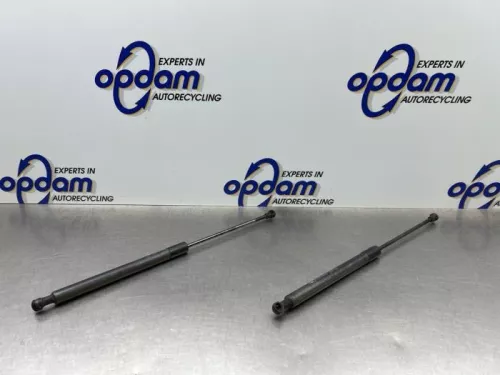 Set Gasdempers Achterklep-8151114