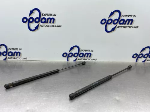 Set Gasdempers Achterklep-8325130