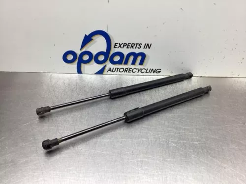 Set Gasdempers Achterklep-8046543