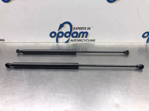 Set Gasdempers Achterklep-8053818