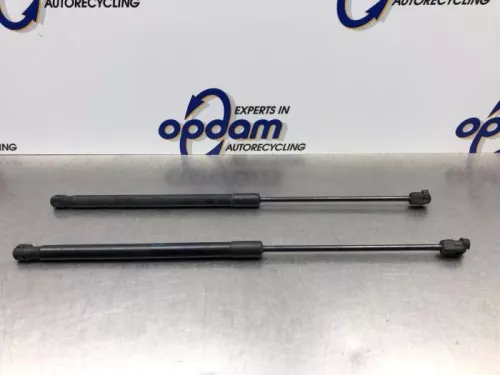 Set Gasdempers Achterklep-8206707