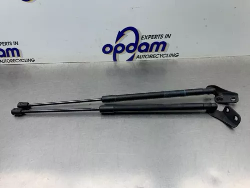 Set Gasdempers Achterklep-8219767