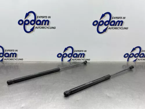 Set Gasdempers Achterklep-8221230