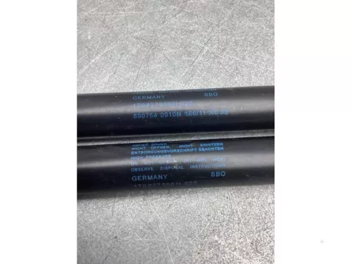 Set Gasdempers Achterklep-8230416