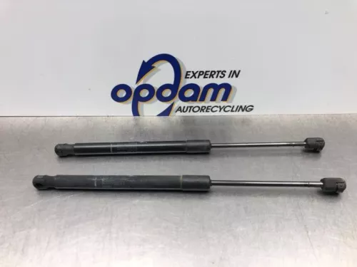 Set Gasdempers Achterklep-8156832