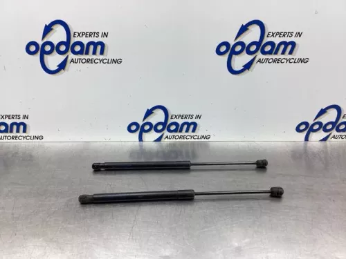 Set Gasdempers Achterklep-7938933