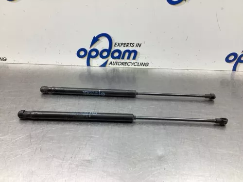 Set Gasdempers Achterklep-8050895