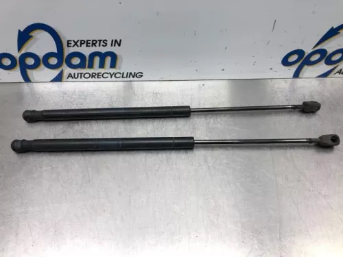 Set Gasdempers Achterklep-7729793