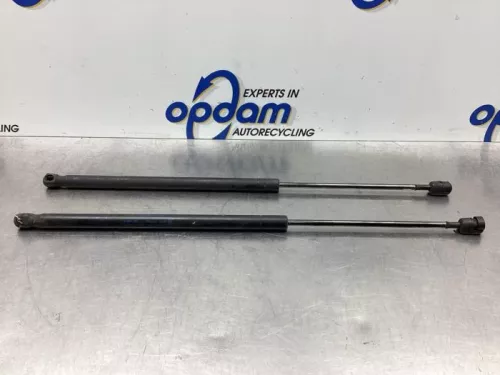 Set Gasdempers Achterklep-7729604