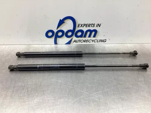 Set Gasdempers Achterklep-7744255