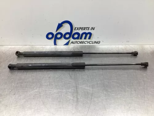 Set Gasdempers Achterklep-7934658