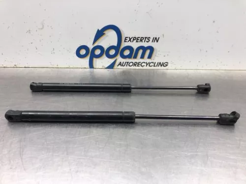 Set Gasdempers Achterklep-8071125