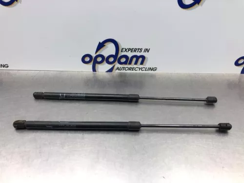 Set Gasdempers Achterklep-8167563