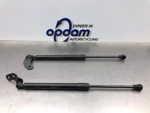 Set Gasdempers Achterklep-8220837