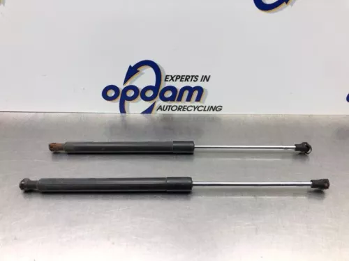 Set Gasdempers Achterklep-8242075