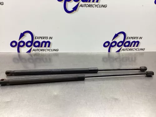 Set Gasdempers Achterklep-8180251