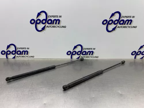 Set Gasdempers Achterklep-8150924