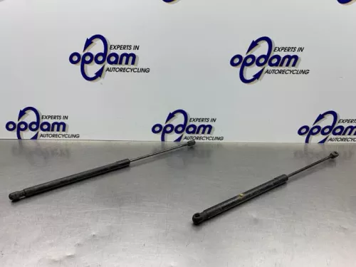 Set Gasdempers Achterklep-8213510