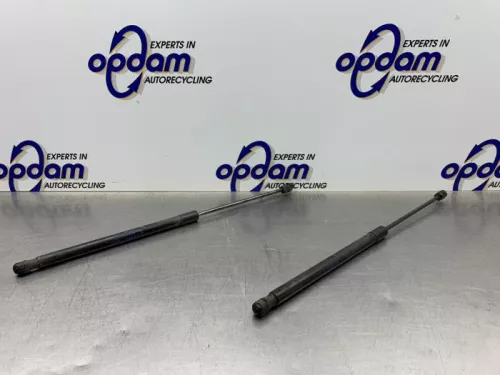 Set Gasdempers Achterklep-8198454