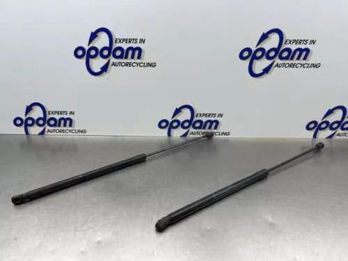 Set Gasdempers Achterklep-8261434