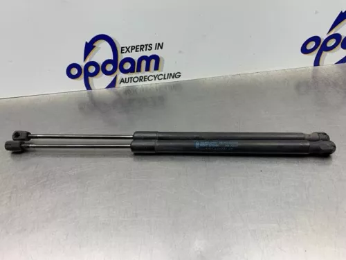 Set Gasdempers Achterklep-8275056