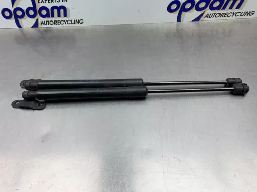 Set Gasdempers Achterklep-8269580