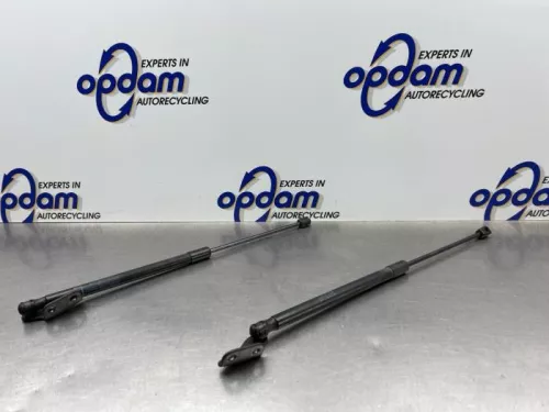 Set Gasdempers Achterklep-8289769