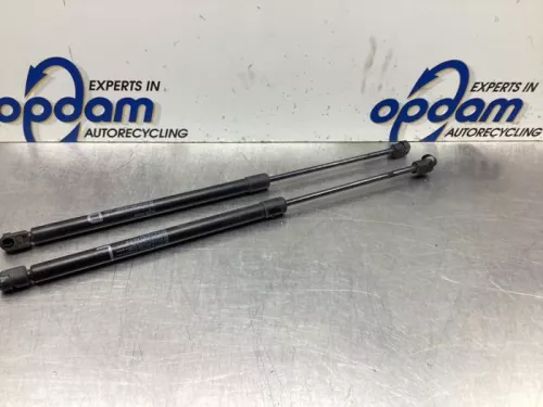 Set Gasdempers Achterklep-8079050