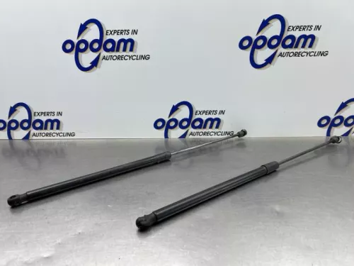 Set Gasdempers Achterklep-8195532