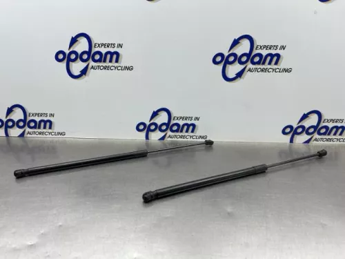 Set Gasdempers Achterklep-8323725